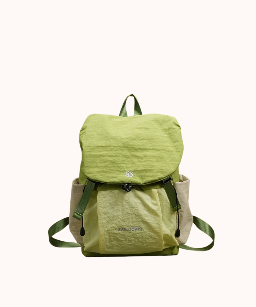 Ashborne Casual Backpack