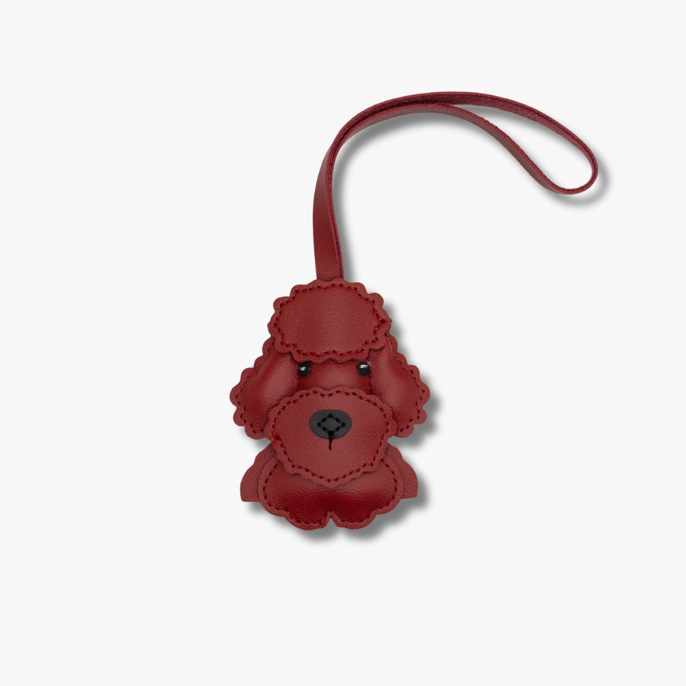 Poodle | Der stilvolle Begleiter