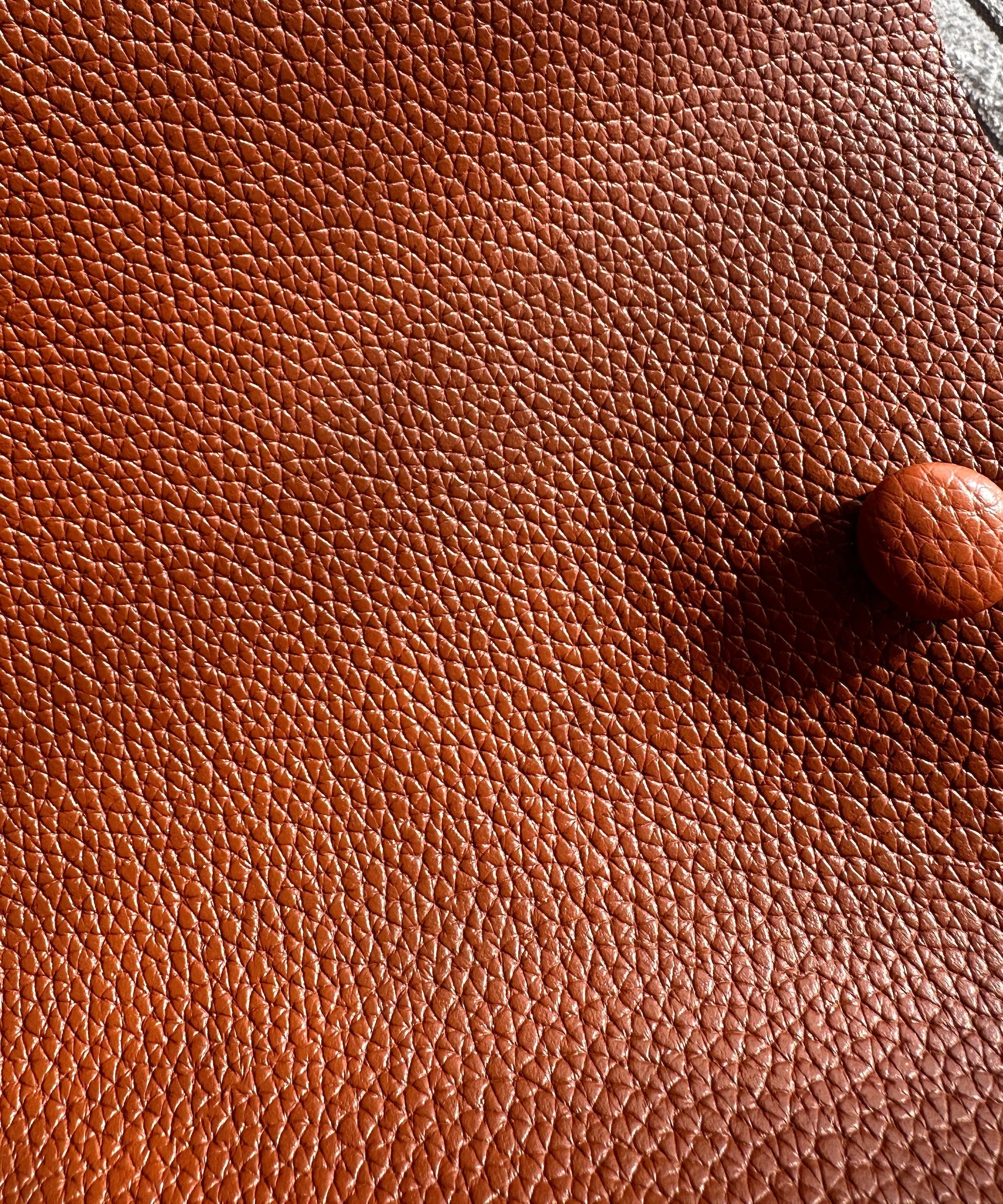Léonore Vegan Leather Crossbody Bucket Bag