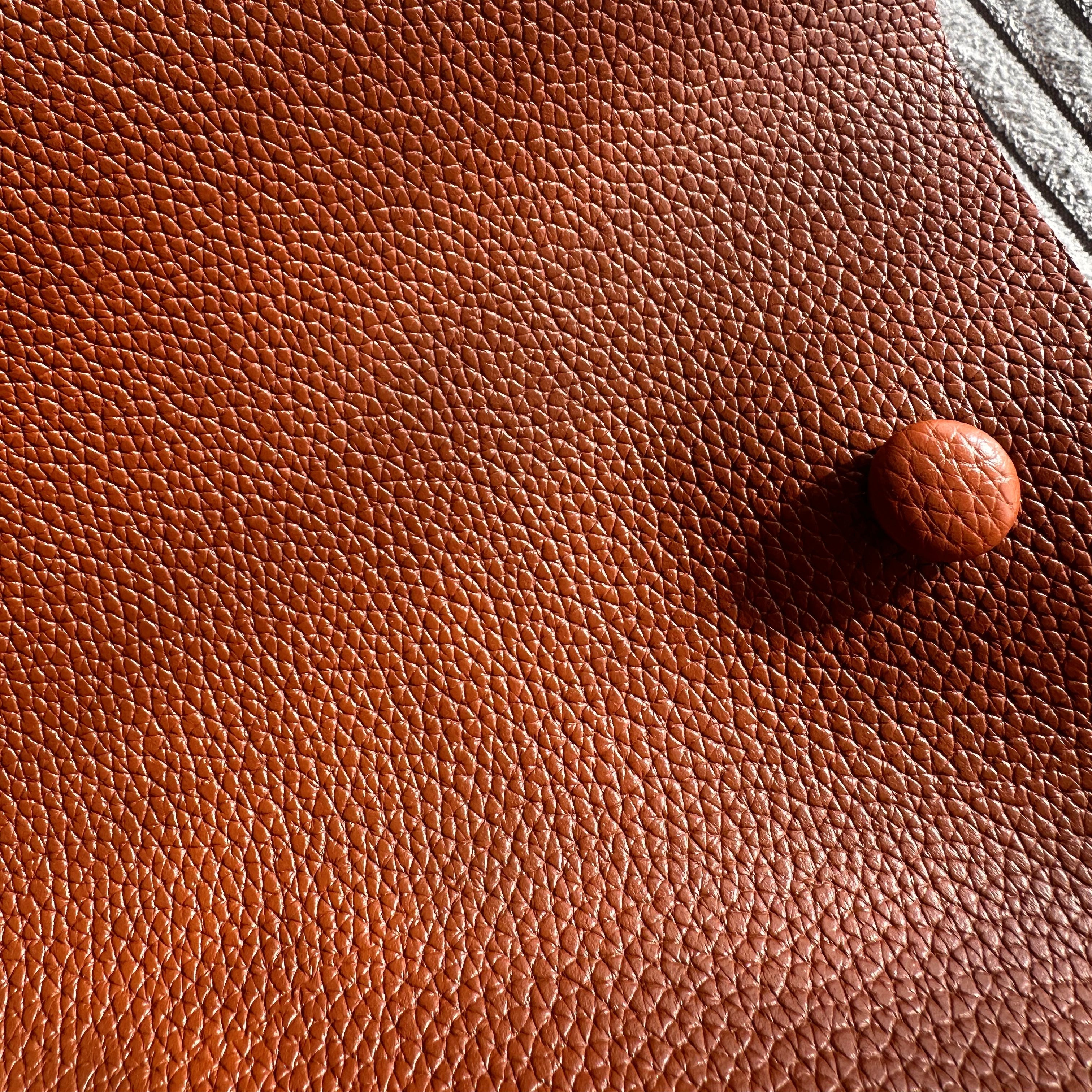 Léonore Vegan Leather Crossbody Bucket Bag