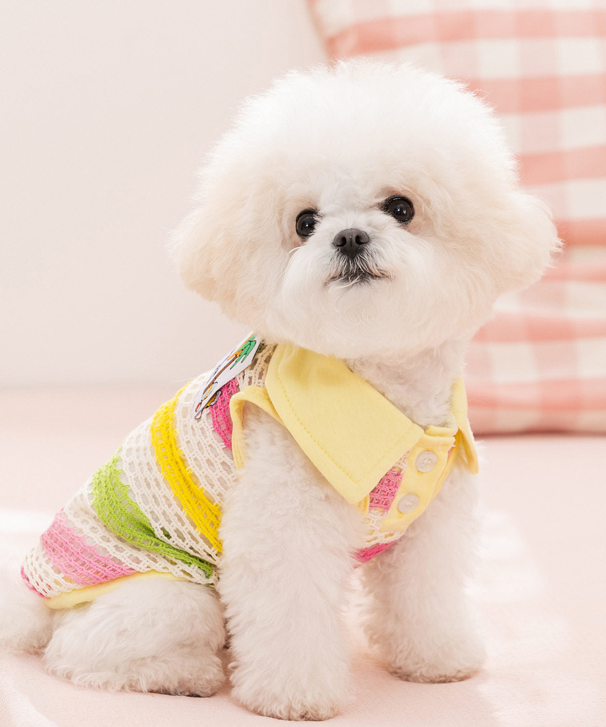 Striped Knit Pet Vest