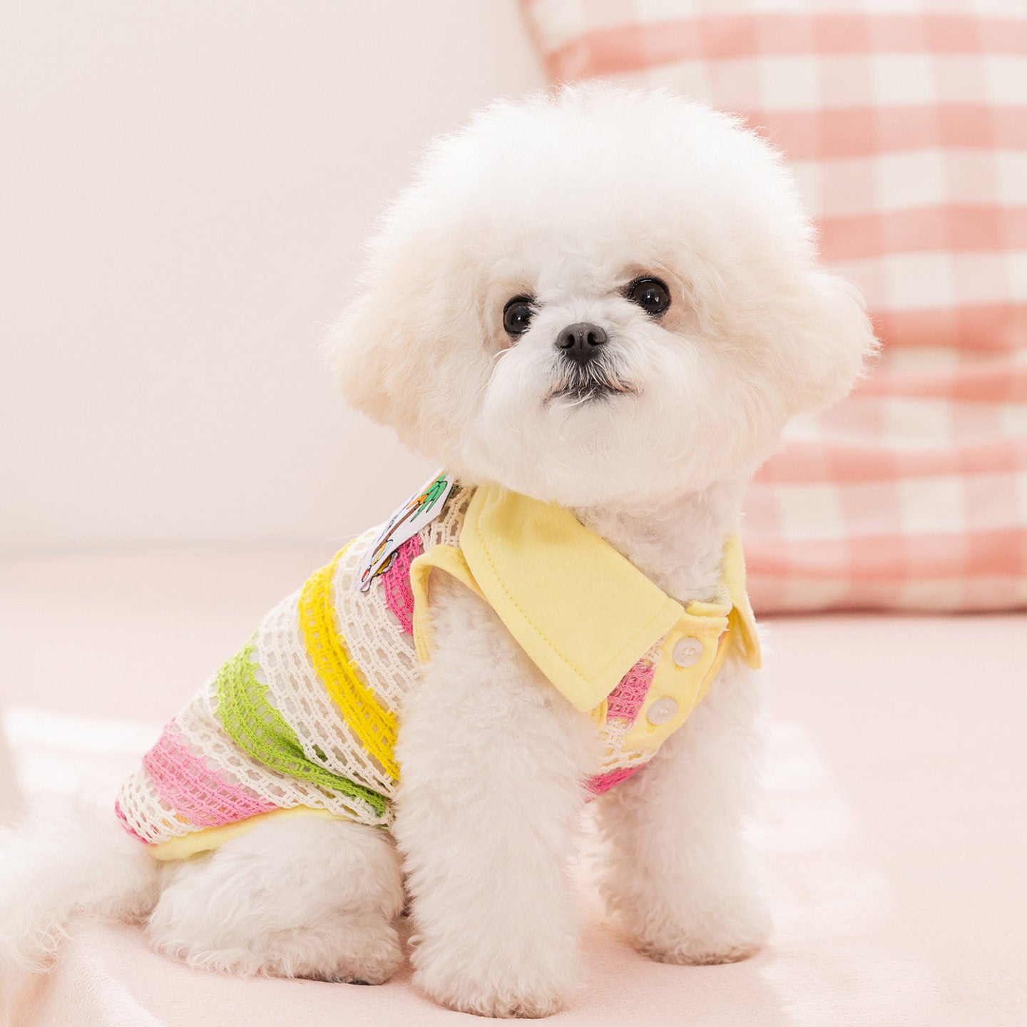 Striped Knit Pet Vest