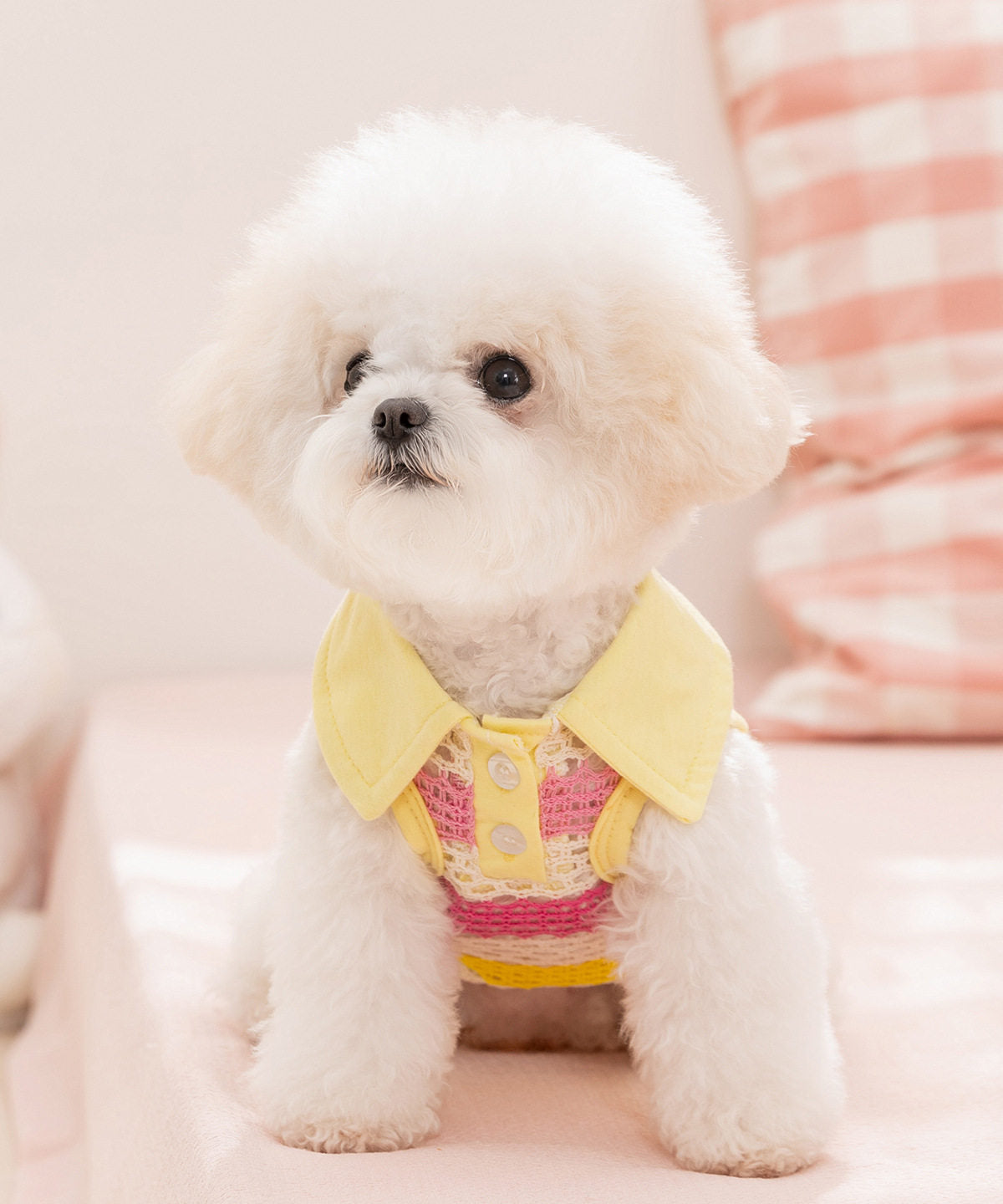 Striped Knit Pet Vest