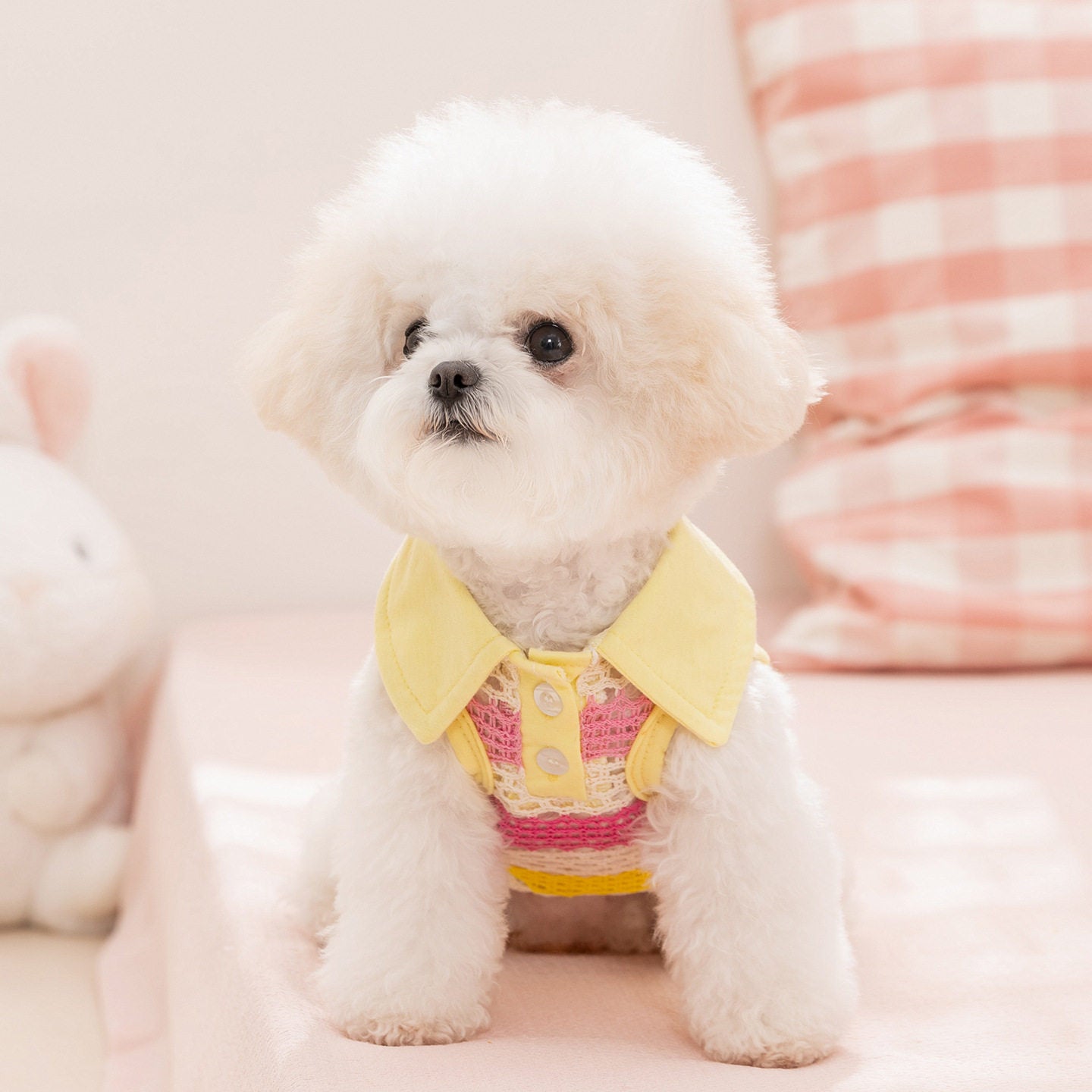 Striped Knit Pet Vest